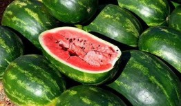 免费吃瓜缅甸,揭秘神秘国度的美食之旅